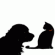 dogs and cats