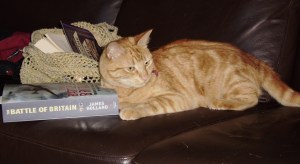 Thomas, having lost the battle with dinosaur, explores other options