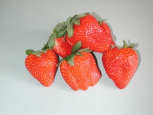 Adina strawberry